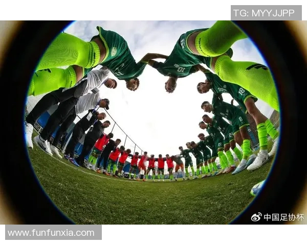 为足球明星加油助威的激情呼唤与梦想追逐之旅